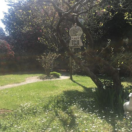 La Pallanzotta Verbania Exteriör bild