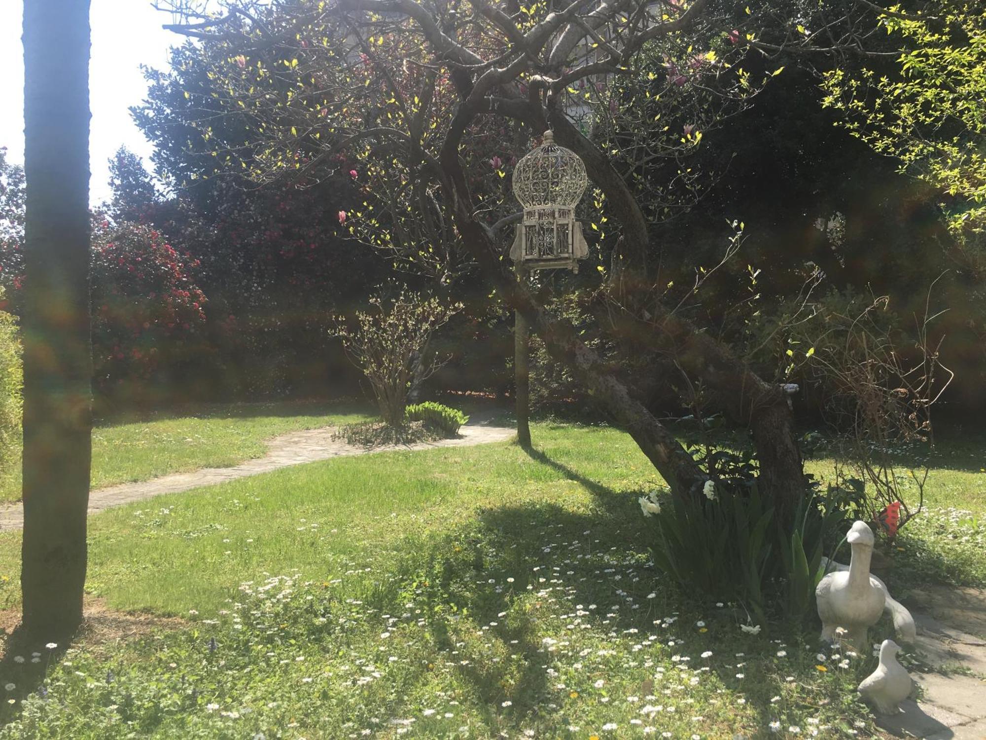 La Pallanzotta Verbania Exteriör bild